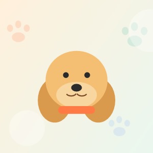 金毛