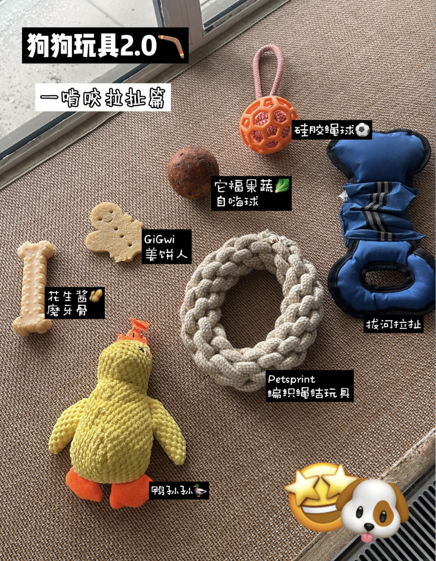 均价20+的Dobby玩具分享2.0🥰｜啃咬互动
